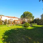 Mirela 1554 Pula