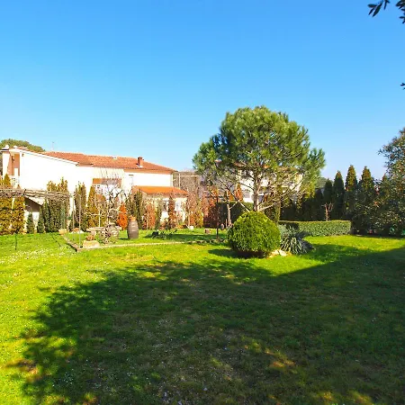 Mirela 1554 Pula