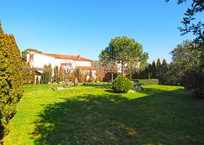 Mirela 1554 Pula